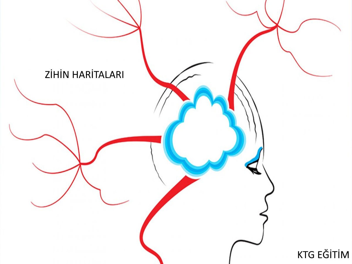 Gümrük Müşaviri Kutluhan TANISALI Hocamızın Hazırladığı Yetkilendirilmiş Yükümlü Statüsü Zihin Haritası